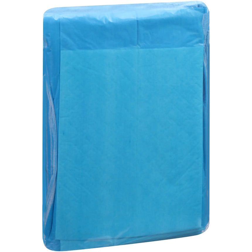 Attends® Care Dri-Sorb® Underpad, 23 X 24 Inches Attends® Care Dri-Sorb®