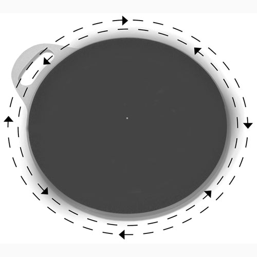 SafetySure Transfer/Pivot Disc 13