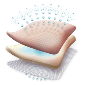 Allevyn Gentle Border Silicone Gel Adhesive with Border Silicone Foam Dressing, 4 x 4 Inch Allevyn Gentle Border