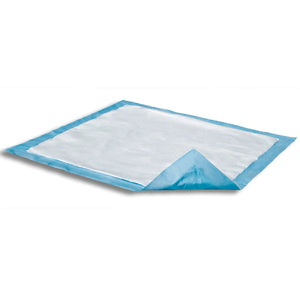 Attends® Care Dri-Sorb® Underpad, 23 X 24 Inches Attends® Care Dri-Sorb®