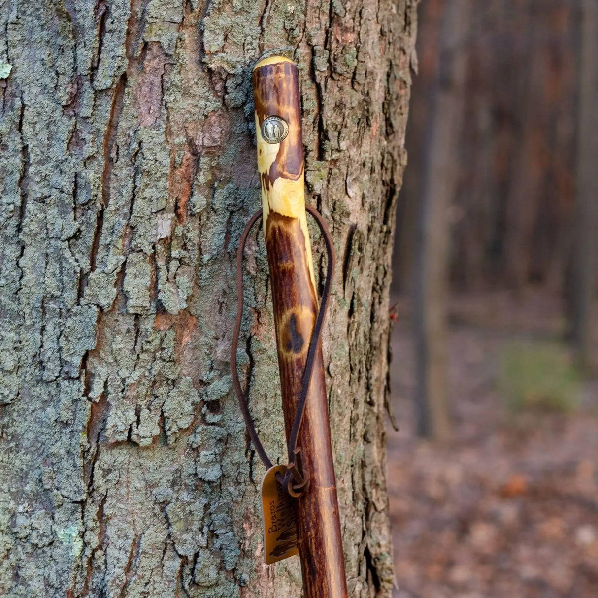 Brazos™ Hawthorn Rustic Walking Stick, 48-Inch Height Brazos™ Free Form