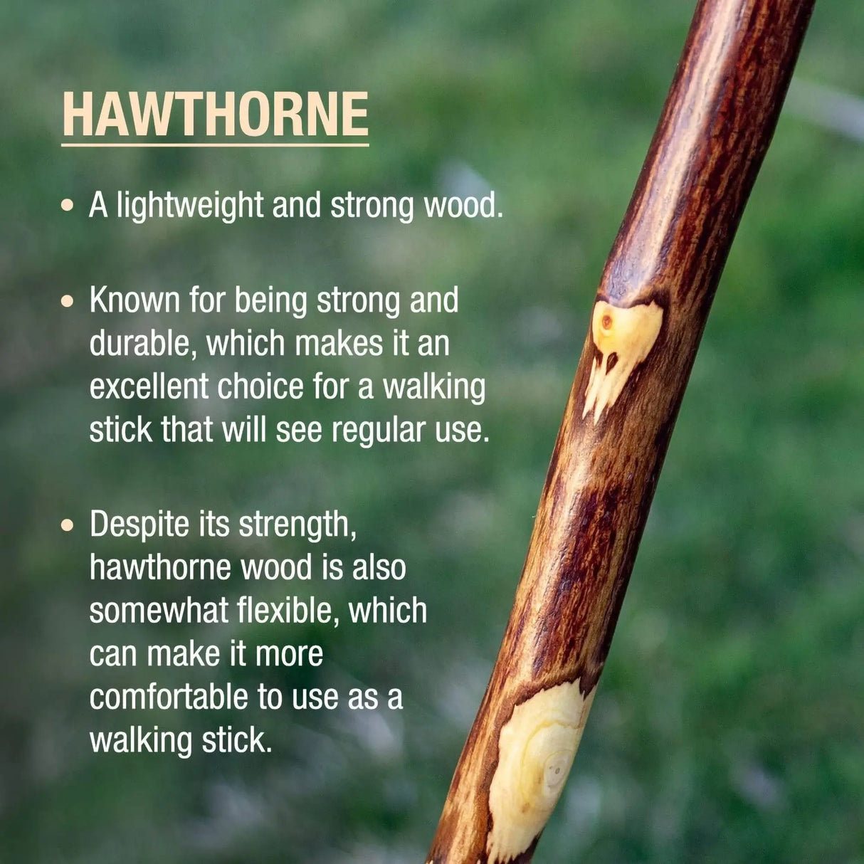 Brazos™ Hawthorn Rustic Walking Stick, 48-Inch Height Brazos™ Free Form