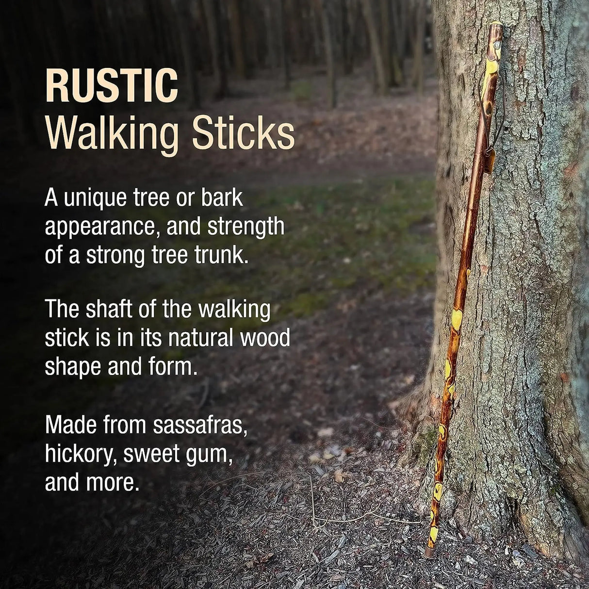 Brazos™ Hawthorn Rustic Walking Stick, 48-Inch Height Brazos™ Free Form