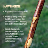 Brazos™ Hawthorn Rustic Walking Stick, 58-Inch Height Brazos™ Free Form