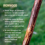 Brazos™ Ironwood Rustic Walking Stick, 48-Inch Height Brazos™ Free Form