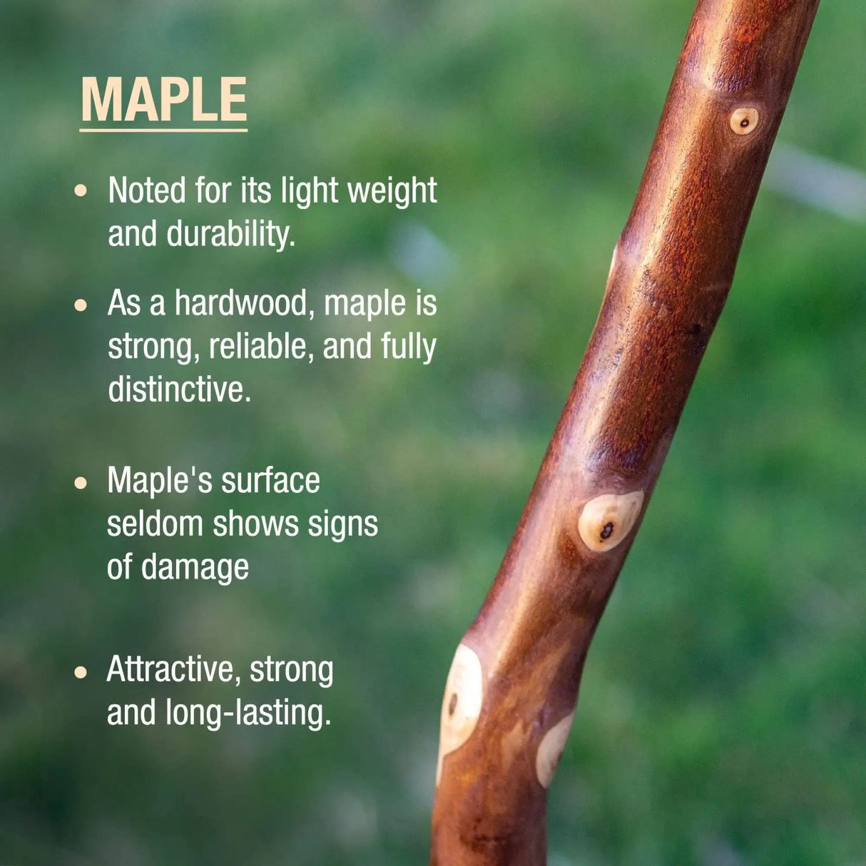 Brazos™ Maple Rustic Walking Stick, 55-Inch Height Brazos™ Free Form