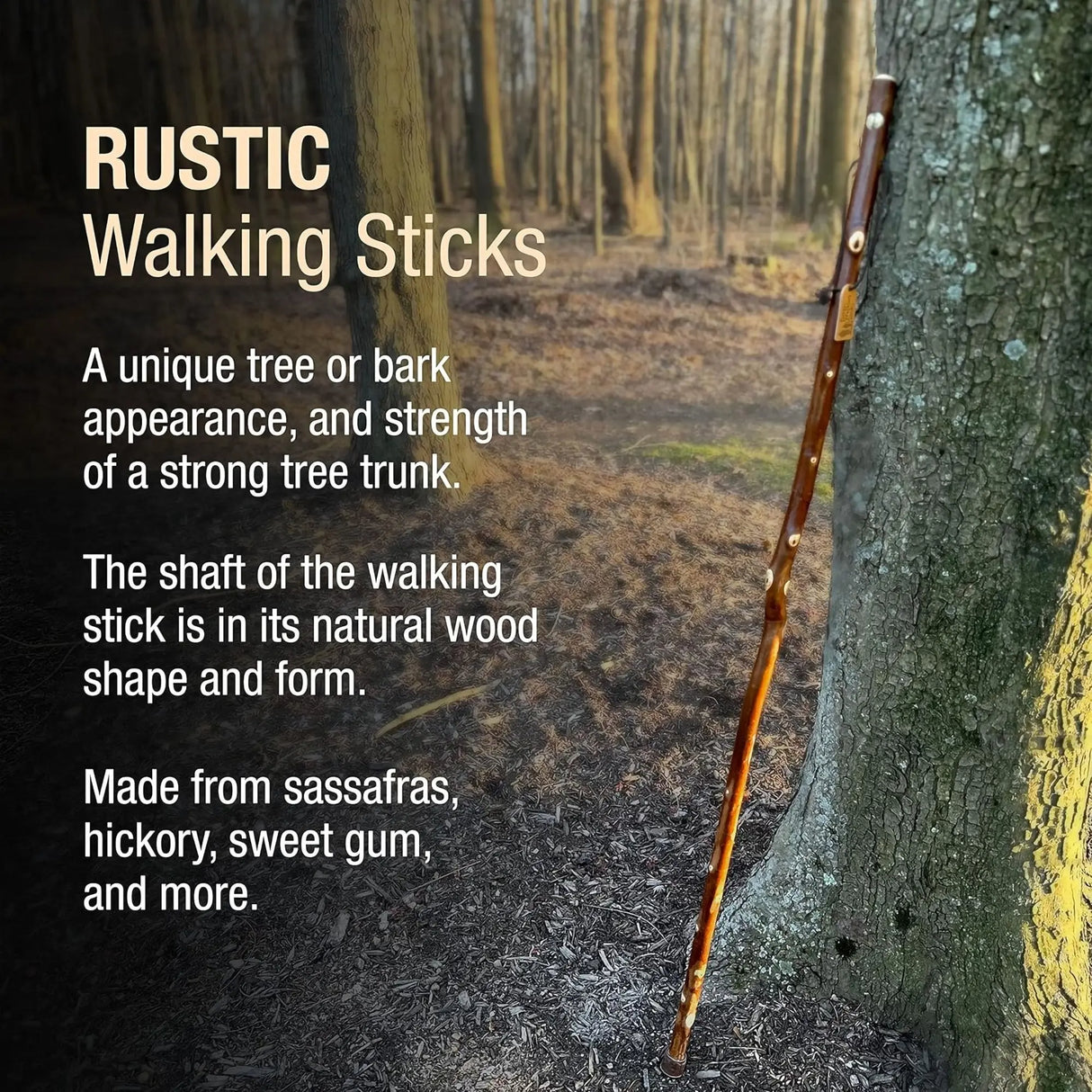 Brazos™ Maple Rustic Walking Stick, 55-Inch Height Brazos™ Free Form