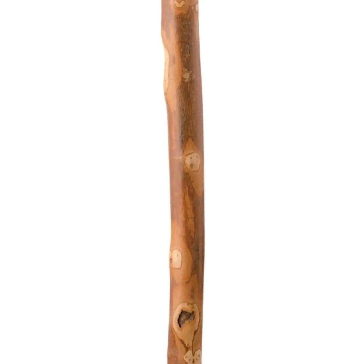 Brazos™ Sapling American Hardwood Free-Form Walking Stick with Compass, 55-Inch Height, Brown Brazos™