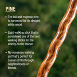 Brazos™ Twisted Pine Handcrafted Walking Stick, 55-Inch Brazos™ Traveler