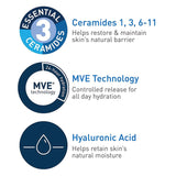 CeraVe® Daily Moisturizing Lotion, 12 oz. CeraVe®