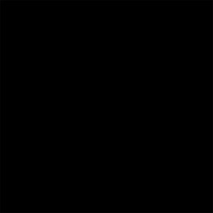 Delta-Lite® Plus Black Cast Tape, 2 Inch x 4 Yard Delta-Lite® Plus