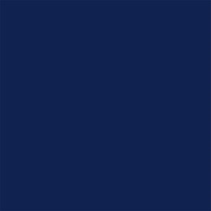 Delta-Lite® Plus Dark Blue Cast Tape, 2 Inch x 4 Yard Delta-Lite® Plus
