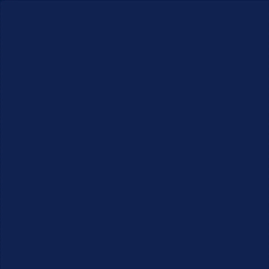 Delta-Lite® Plus Dark Blue Cast Tape, 2 Inch x 4 Yard Delta-Lite® Plus