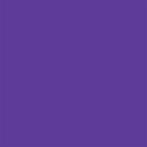Delta-Lite® Plus Purple Cast Tape, 2 Inch x 4 Yard Delta-Lite® Plus