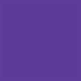 Delta-Lite® Plus Purple Cast Tape, 3 Inch x 4 Yard Delta-Lite® Plus