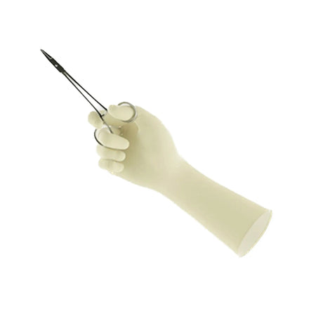 Encore® Perry® Style 42® PF Latex Surgical Glove, Size 7, Natural ENCORE® Perry® Style 42® PF