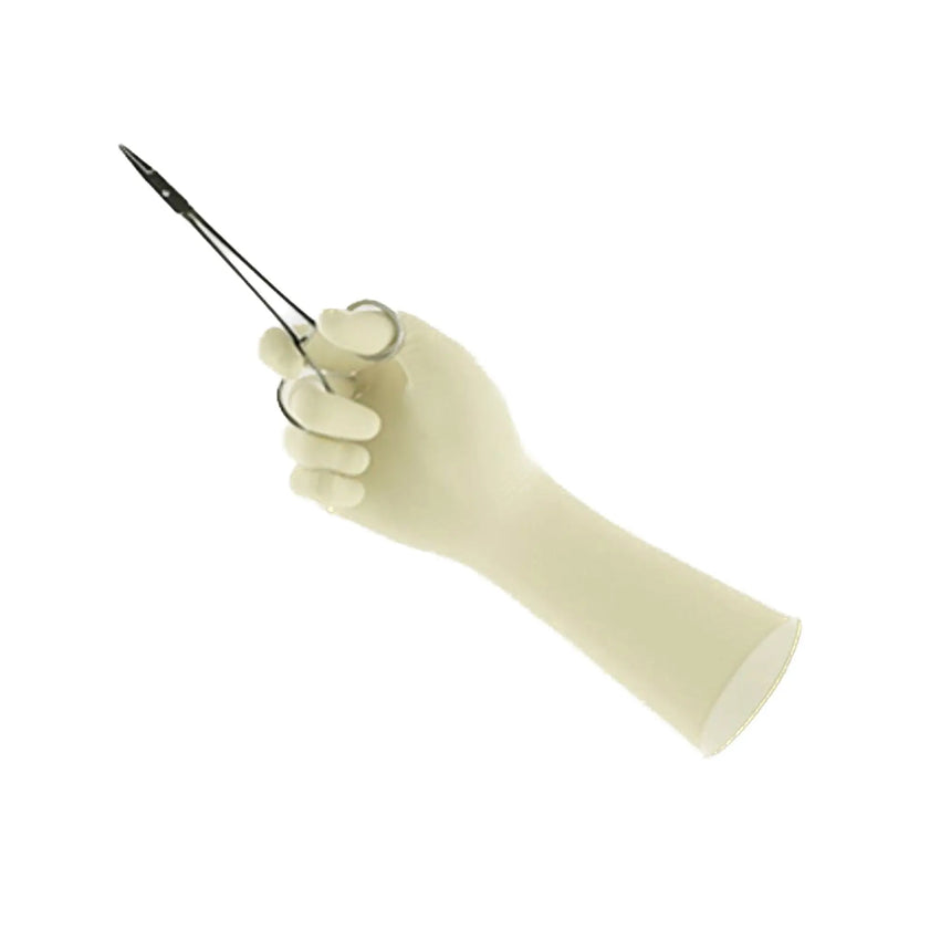 Encore® Perry® Style 42® PF Latex Surgical Glove, Size 7, Natural ENCORE® Perry® Style 42® PF