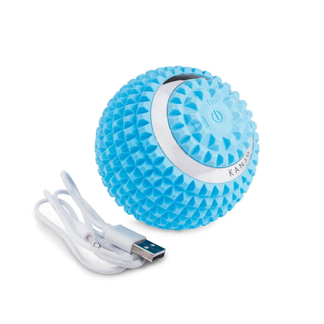 Kanjo Vibrating Acupressure Foot Pain Relief Ball Kanjo