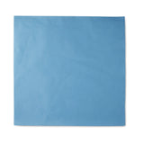 McKesson Single Layer Sterilization Wrap, 20 x 20 Inch McKesson