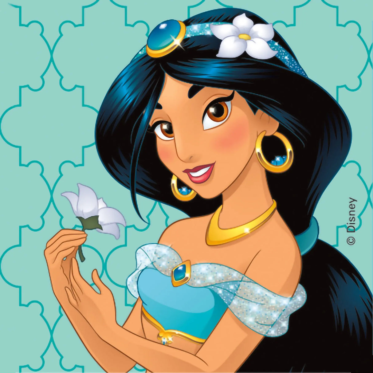 Medibadge® Disney® Princesses Stickers Value Stickers™