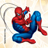 Medibadge® Spider-Man Classic Stickers Value Stickers™