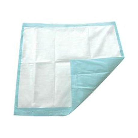 TotalDry™ Underpads, Disposable, Fluff/Polymer, Heavy-Absorbency, 30" x 36" TotalDry™