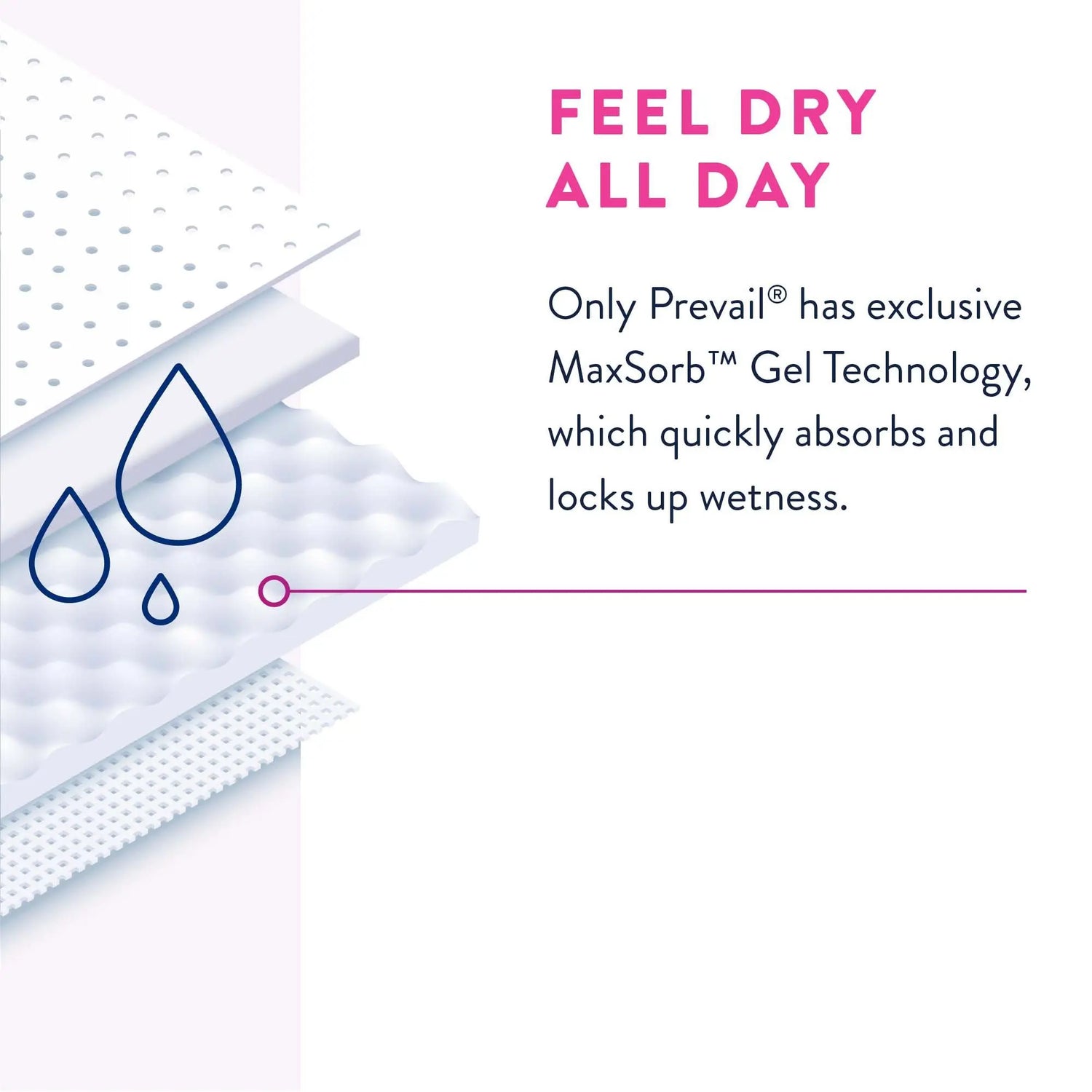 Prevail® Daily Absorbent Underwear, X-Large, Lavender Prevail® For Women Daily Underwear