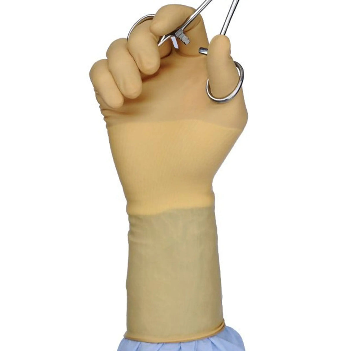 Protexis™ Polychloroprene Surgical Glove, Size 6.5, Ivory Protexis™ (formerly Duraprene™ Plus )