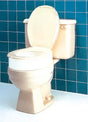 Raised Toilet Seat Elongated by Carex Complete Medical