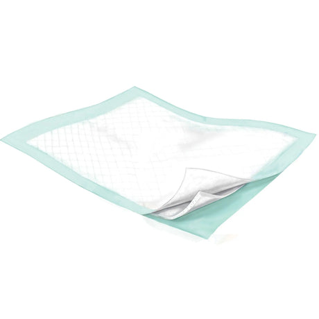 Wings Plus Underpads, Disposable, Heavy Absorbency, Beige, 36 X 36 Inch Wings™ Plus