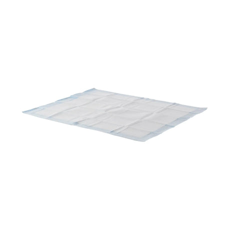 Wings™ Quilted Premium Strength Maximum Absorbency Positioning Underpad, 30 x 36 Inch Wings™ Quilted Premium Strength